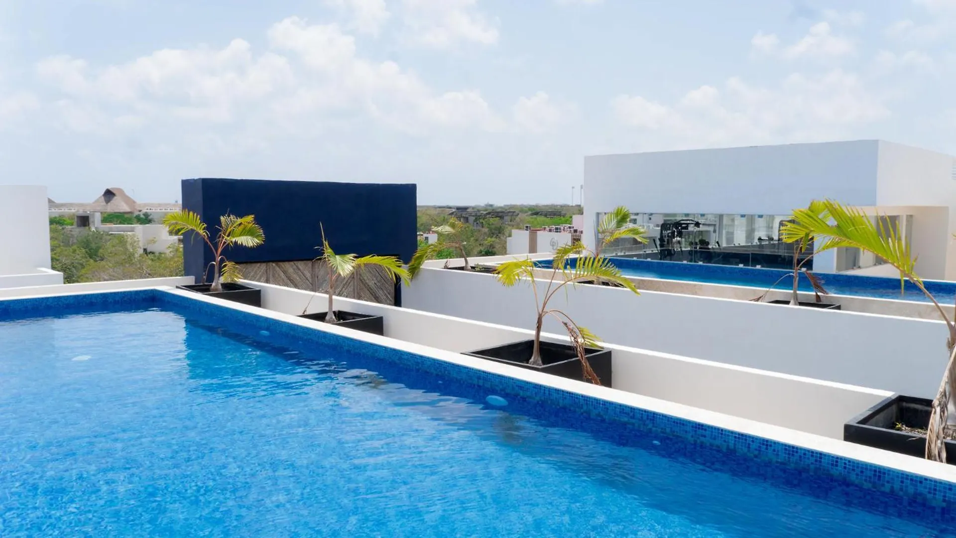 King Suite With Balcony Gym Rooftop Pool T5 102 Tulum Mexico